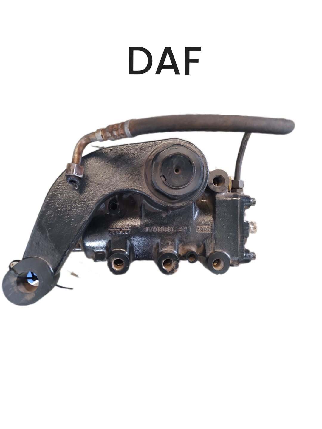 DAF 1.jpg