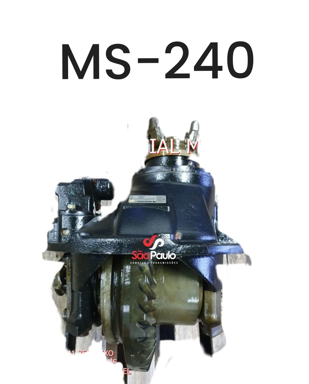 WhatsApp Image 2023-02-14 at 11.14.18 (3).jpeg